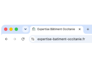 EBO favicon navigateur